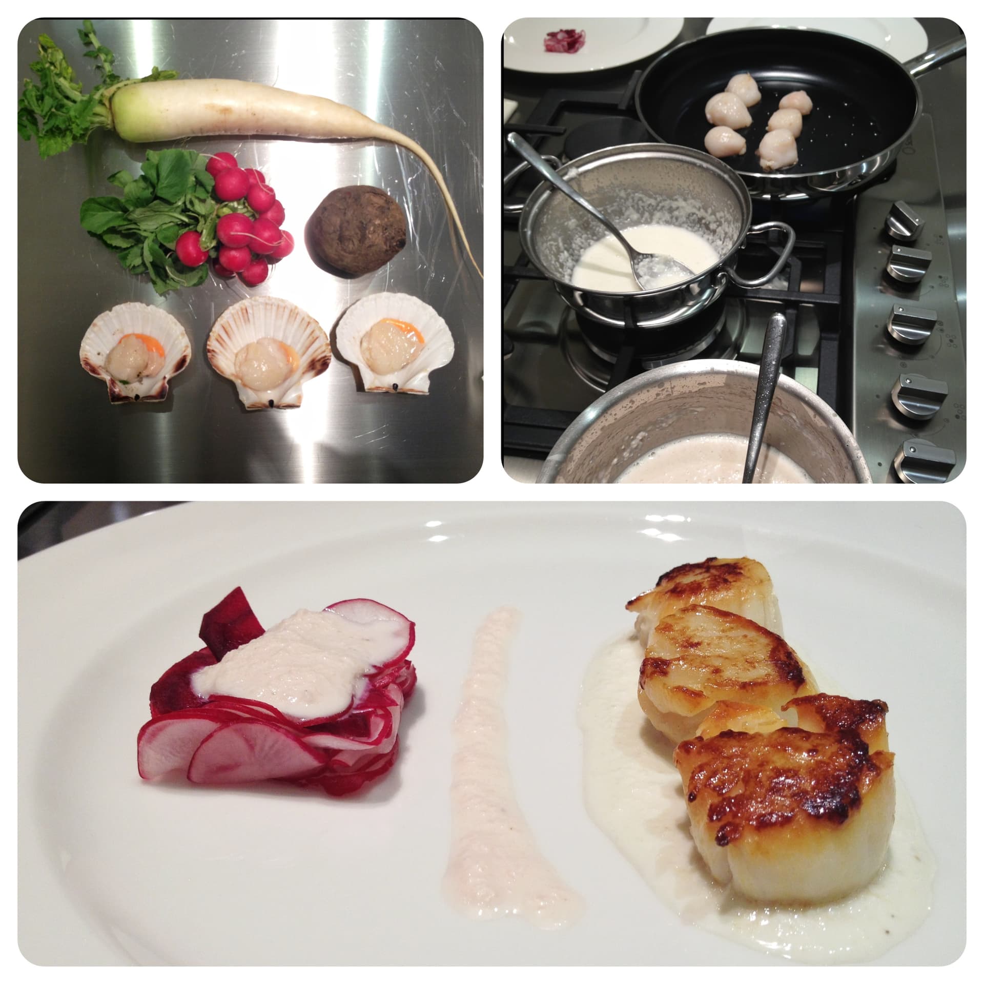 Capesante con varietà di radici