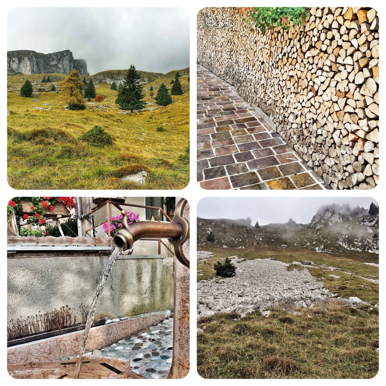 I Rifugi del Gusto nelle Dolomiti del Brenta. Escursioni fra le bontà del Trentino