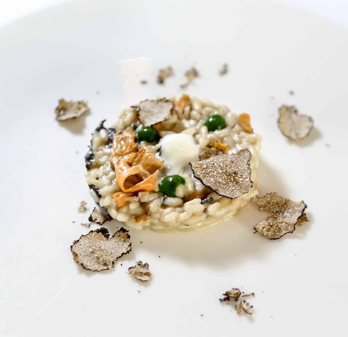 Risotto al tartufo estivo, crema di finferli gialli e neri con emulsione di mascarpone e spinaci