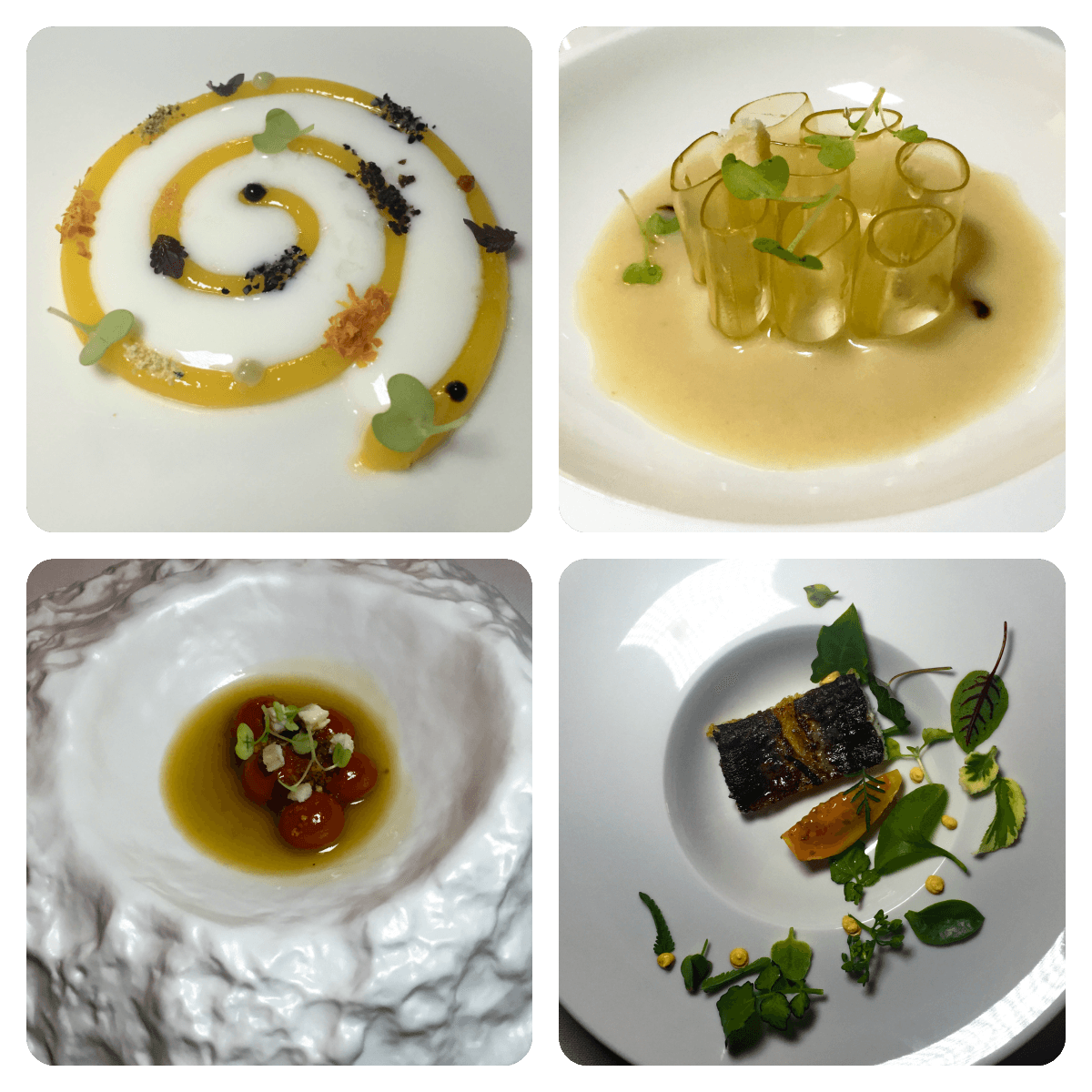 Terry Giacomello dell’Inkiostro. La pragmatica dello stupore