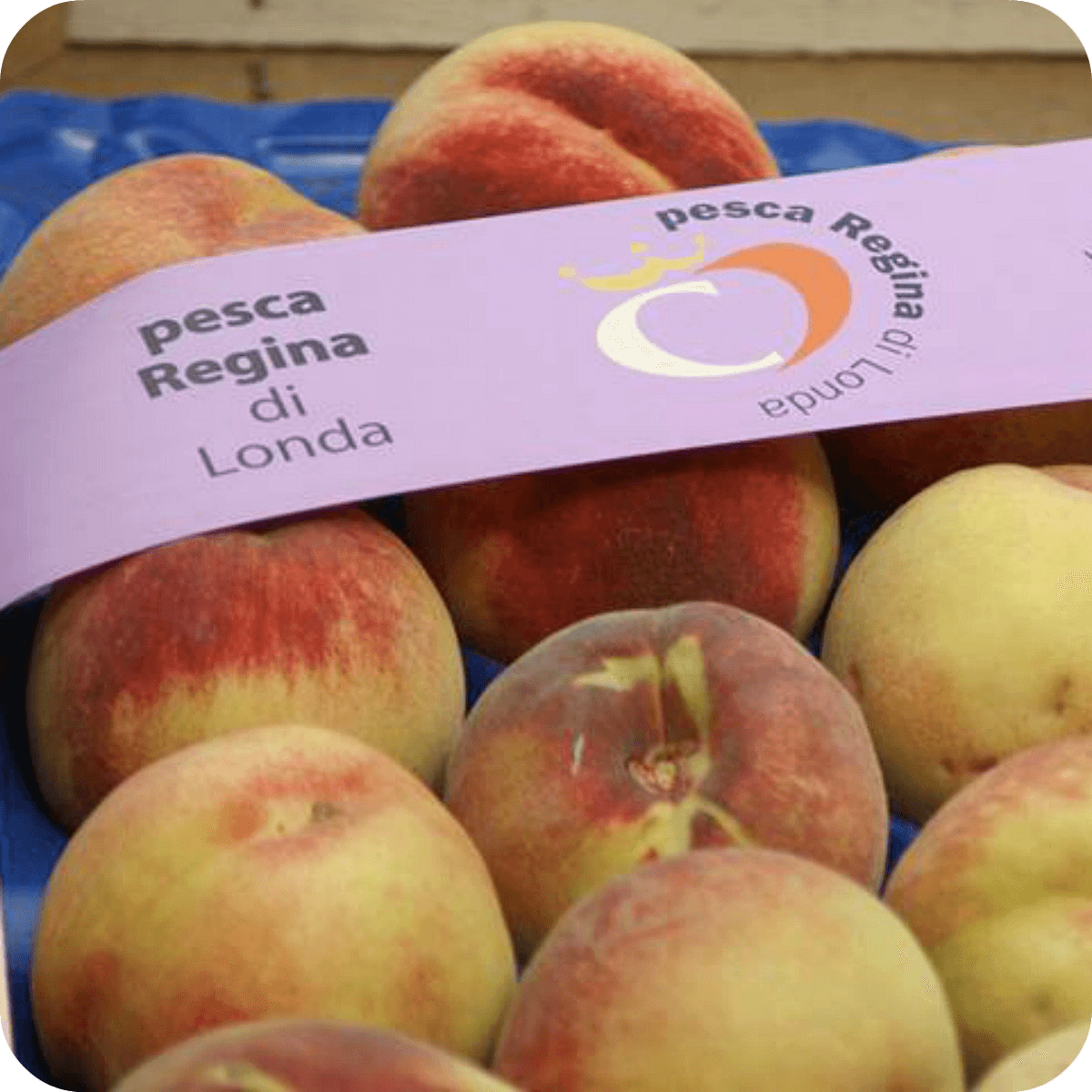 Pesca & Friends – 9-11 settembre – Londa