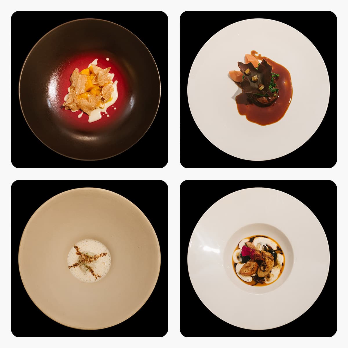 Enoteca Pinchiorri il moto evolutivo che produce vibes contemporanee