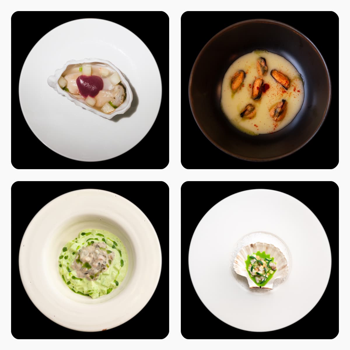 Frutti di mare. Benefici per la salute e sostenibilità ambientale a tavola